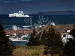 Western Bay